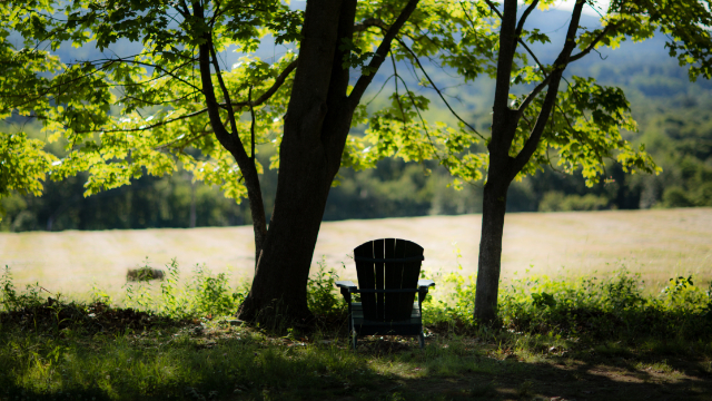 A photo of a chair overlooking a sunlit field