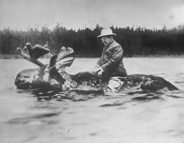Theodore Roosevelt on Mooseback