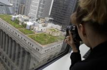 October 2007<br><b>The green roof at Chicago’s City Hall</b><br>The green movement’s strengths are personified by Mayor Richard M. Daley, the tree-hugging, democratically-elected monarch who was born on Arbor Day and who has remade—or, more accurately, has re-layered—the city’s façade since he took office in 1989. If a latter-day Rip van Winkle had fallen into a deep slumber in that year and awoken today, he would notice as astonishing change in the city’s once-harsh landscape 500,000 trees planted, more than 80 miles of landscaped medians constructed, and 2 million square feet of green roofs built or negotiated—more than all other American cities combined. I once got a rise out of Daley by calling his penchant for trees, shrubs and flowers “the Martha-Stewartizing of this tough-guy town.” But the more I see of his greening push, the more I think it’s beyond just literal greening; it’s conceptual greening that civilizes the urban jungle, encouraging high-density living and, thus saving energy.<br><i>Chicago Tribune photo by Chris Walker</i>