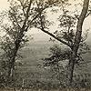 Orchard Knob from Mission Ridge, 1864 or 1866