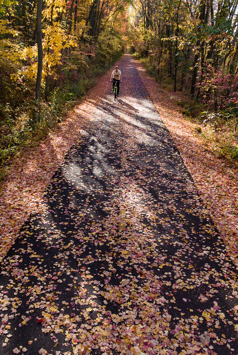 A person riding a bike on a path through the woods covered in fall leaves