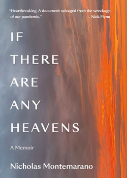 Book cover of If There are any Heavens.