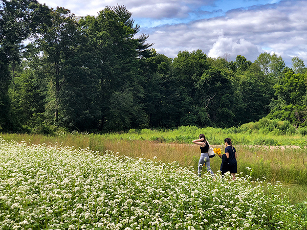 Two people walking in a field of flowers