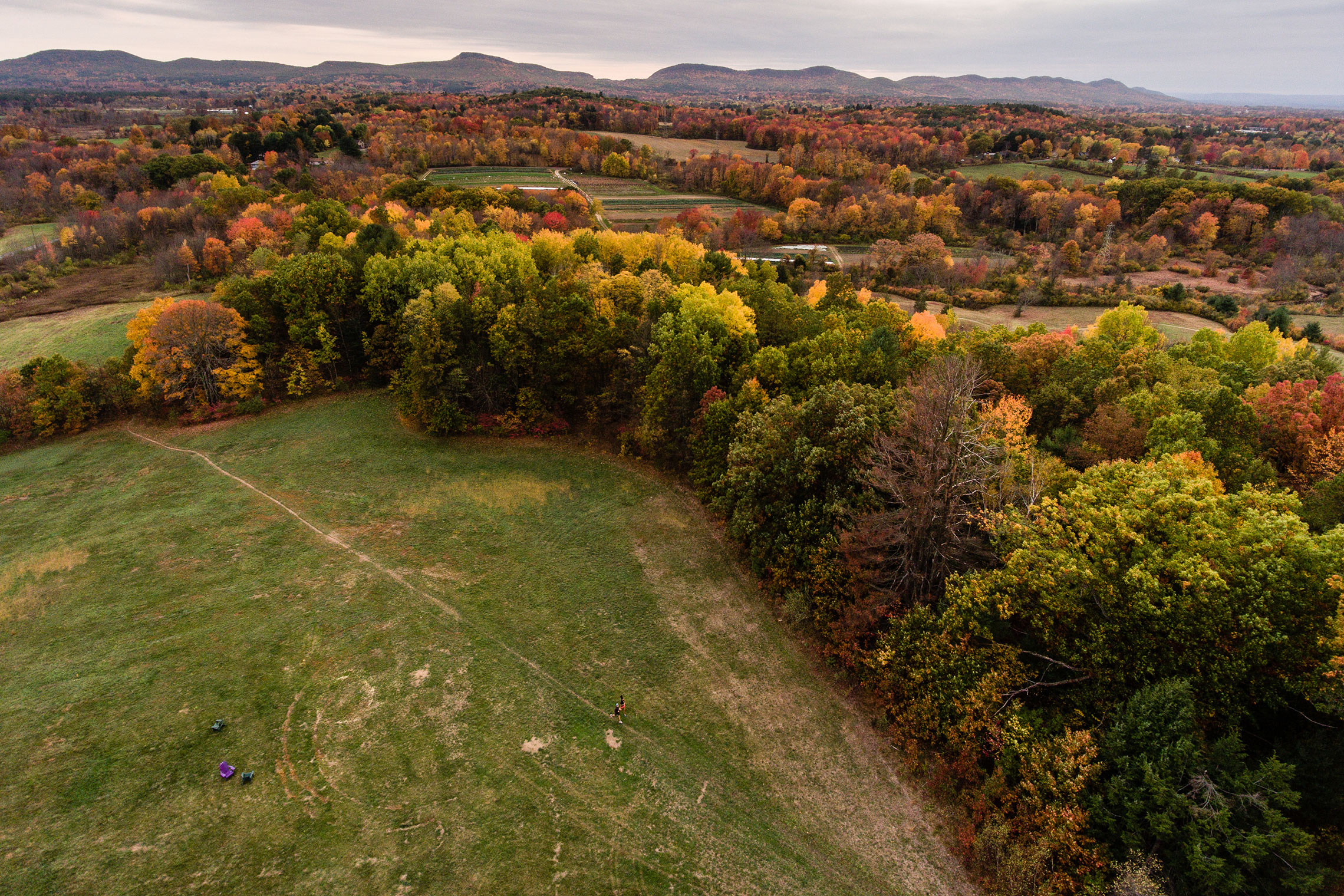 Aerial view of Amherst College surrounding land in autumn.