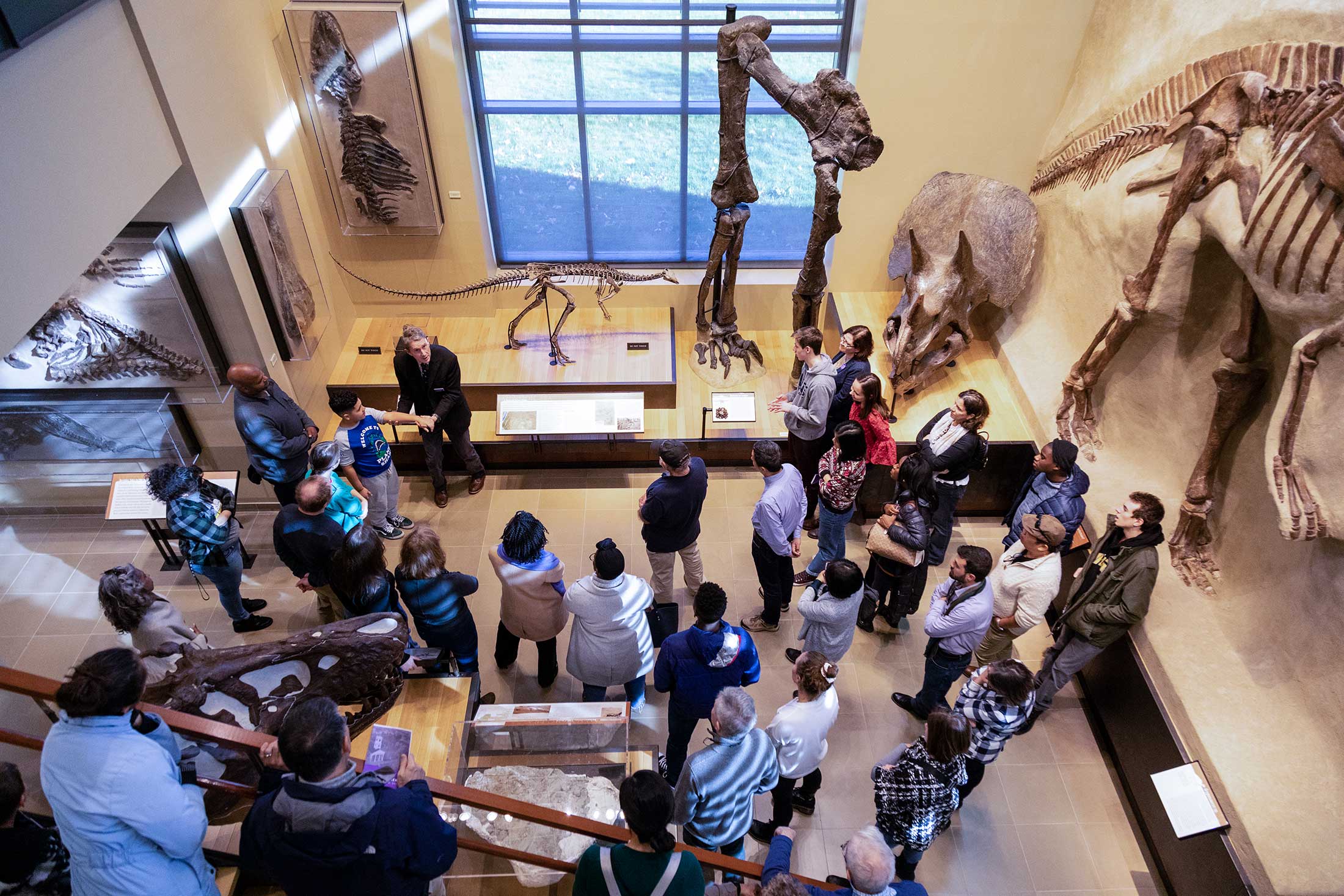 An overhead view of Beneski Museum visitors learning about the dinosaur bones