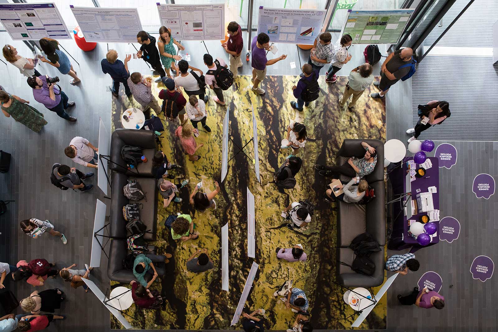 Bird's eye view of the Summer Research Poster Session