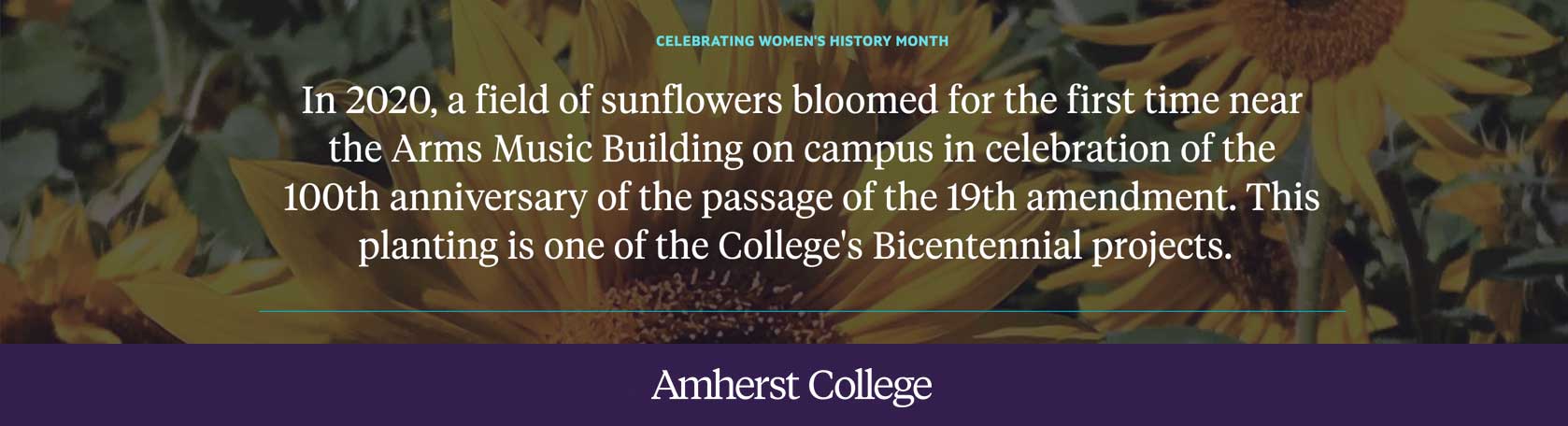 In 2020 a field of sunflowers was planted on campus to celebrate the 100th anniversary of the passage of the 19th amendment