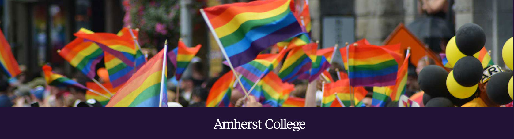 In 1982 a group of Amherst alumni formed the Amherst Gay and Lesbian Alumni Group known as GALA
