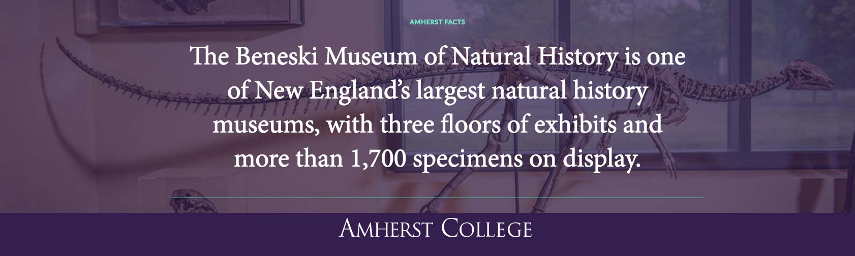 Beneski Museum Fact