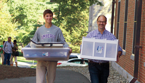 Father and son carrying boxes on moving day