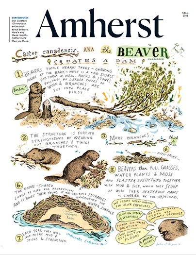 Magazine cover with an illustration of a beaver building a dam.