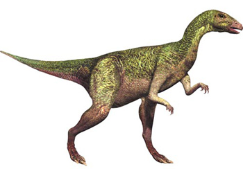 Dryosaurus_altus.jpg