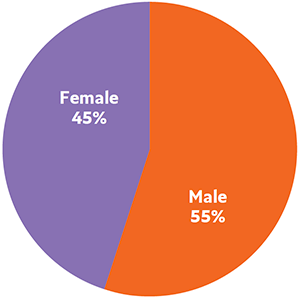 A pie chart divided into two slices; a purple slide marked female 45% and an orange slide marked 55%