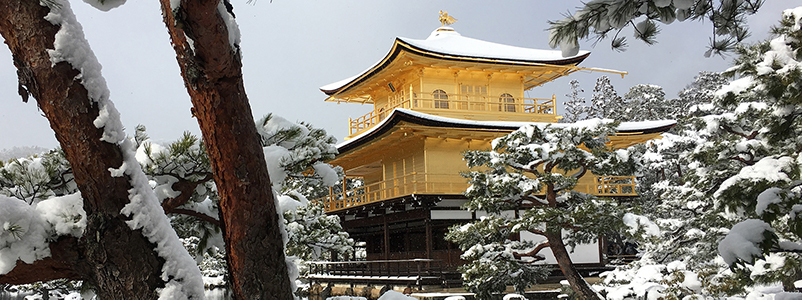 A golden pavilion amongst snow-covered trees
