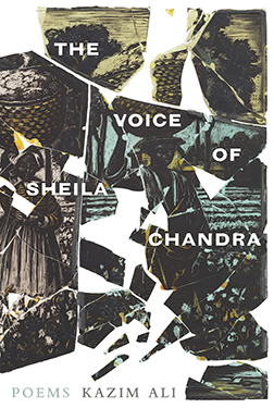 A book cover with an abstract collage and the title The Voice of Sheila Chandra