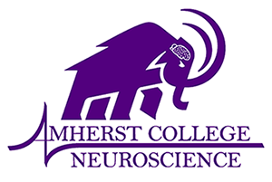 Neuroscience Mammoth