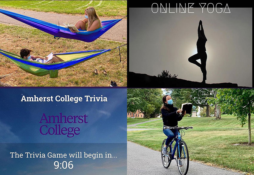 students in hammocks, a person doing yoga, a trivia context, and person riding a bike while reading