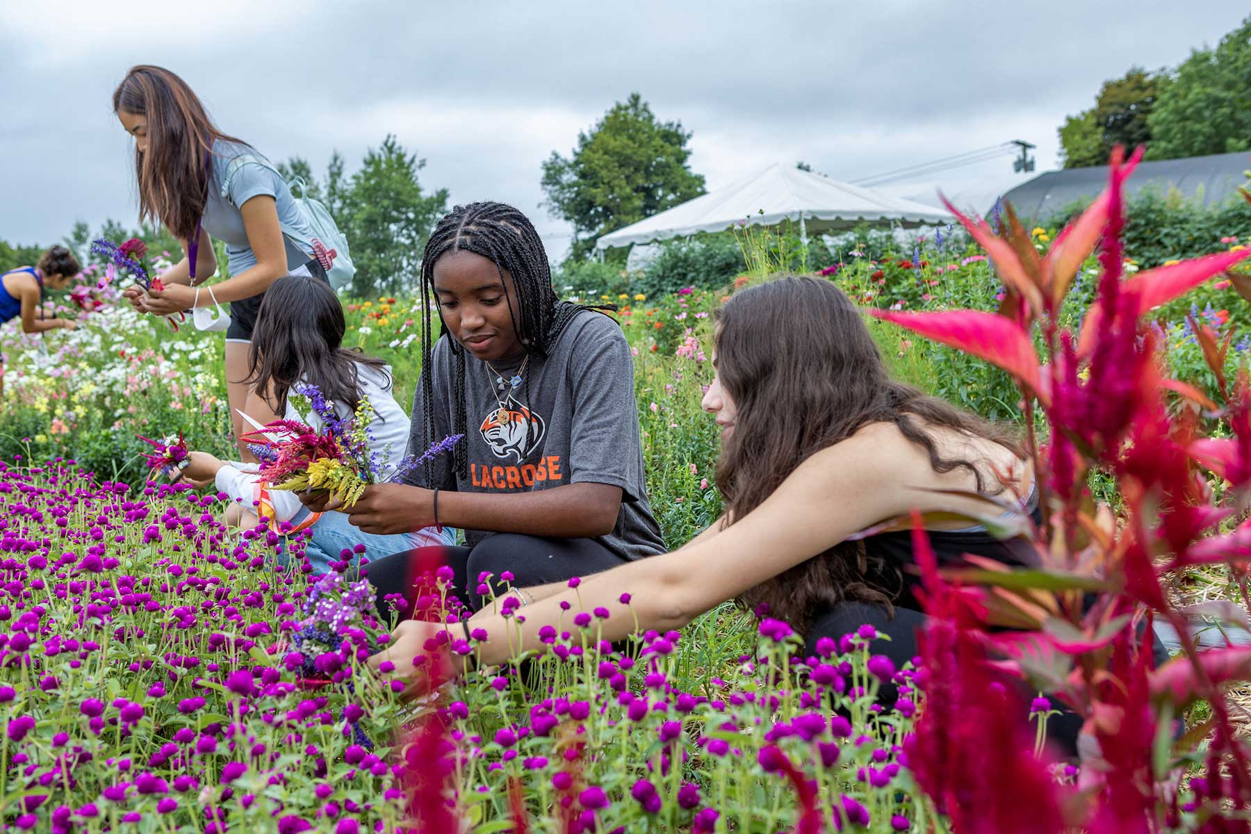 A group of young women pick ing flowers.