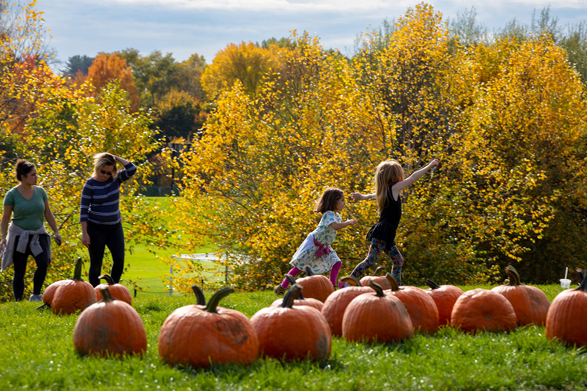 Children running through a pumpkin patch.