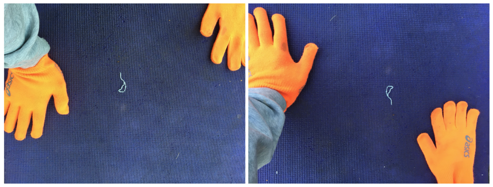 Two photos of gloved hands lying flat on a blue floor