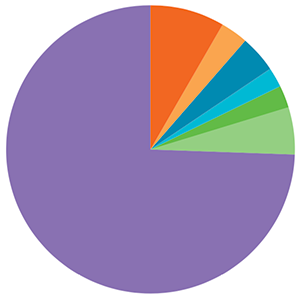 A pie chart showing 2015 faculty race statistics outlined in the text