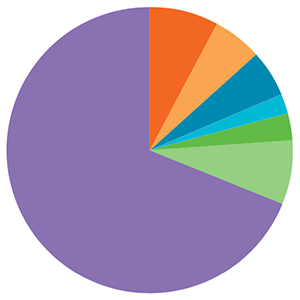 A pie chart showing 2018 faculty race statistics outlined in the text