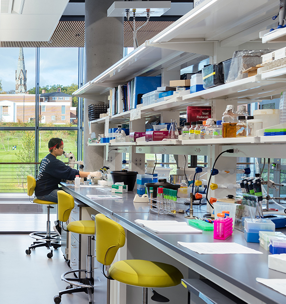 A person at a laboratory bench surrounded by lab equipment