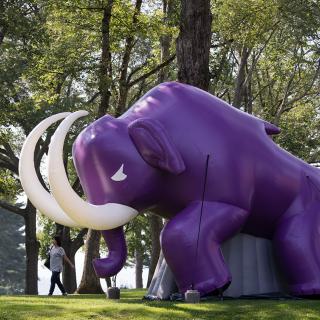 Inflatable Mammoth outside