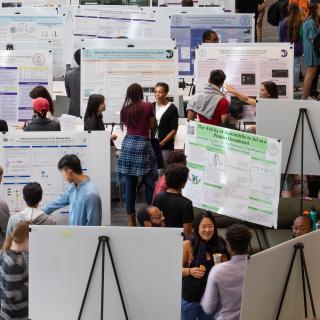 2019 Summer Research Poster Session with posters and people in the Science Center Living Room