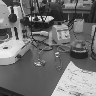 Apfeld research image: black-and-white photo of a microscope and other laboratory equipment on a table
