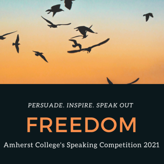 Freedom Speaking Competition photo with black silhouettes of birds flying in a sunset sky