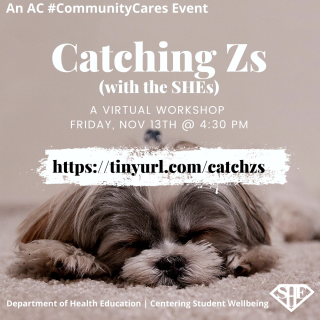 Catching Z's (with the SHES) a Virtual Workshop Friday, Nov 13th @4:30pm