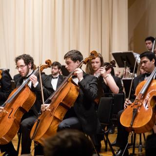 Amherst Symphony Orchestra cellists