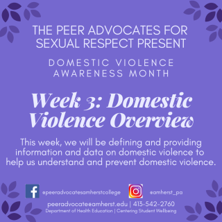 DVAM Week 3: Domestic Violence Overview