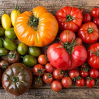 Photo of tomatoes of various sizes, shapes and colors on a wooden tabletop