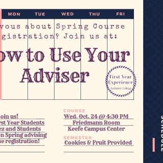 How to Use Your Adviser Poster