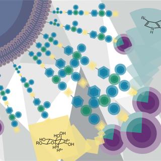 Kiessling Research Image: a colorful, geometrical illustration of molecules 