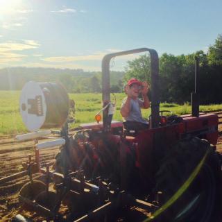 Farmer Maida smiling on a Tractor in a sunny field