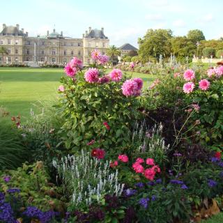 Luxembourg Gardens with flowers in foreground and Luxembourg Palace