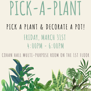 Pick-A-Plant! Stop by between 4:00pm & 6:00pm to pick a plant and decorate a pot!