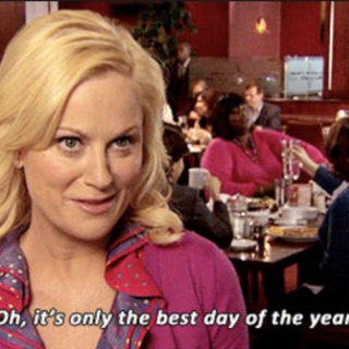 mage: Meme of Leslie Knope from tv sitcom Parks & Recreation. Caption: "Oh, it's only the best day of the year."