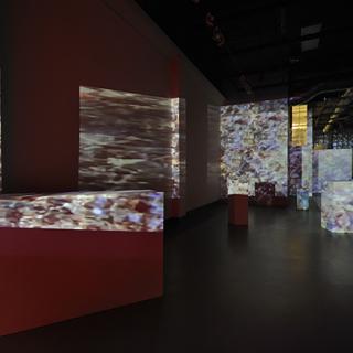 Indoor art installation involving projections on various colored walls and surfaces