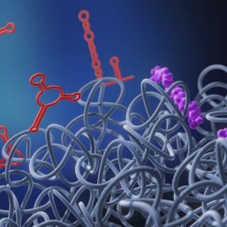 Storz research image: Illustration of molecules and proteins