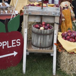 Display of fresh apples