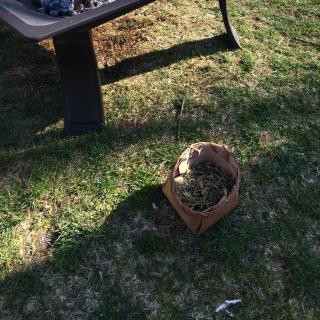 Picture of fire pit, small basket of herbs and rich bark. Fire pit is metal on grass.