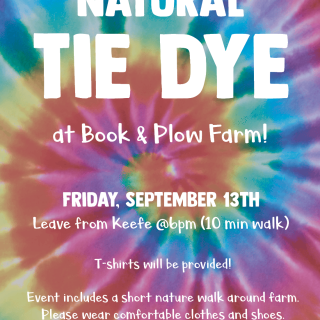 tie dye event poster