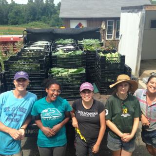 Five people standing in front of a truck bed full of vegetables.