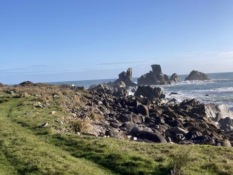 Image shows a bright blue sky, the ocean to the left, large grey boulders in the middle, and green grass to the right 