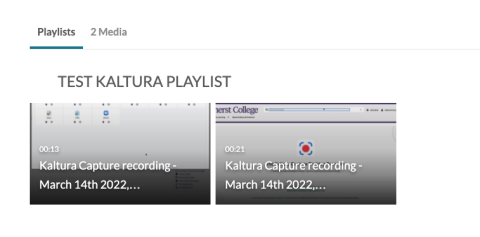 Screenshot of media gallery showing playlist