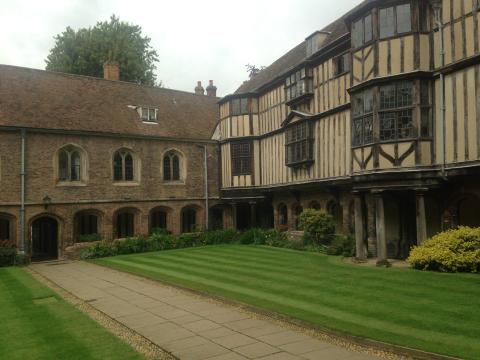 Oxford lawn